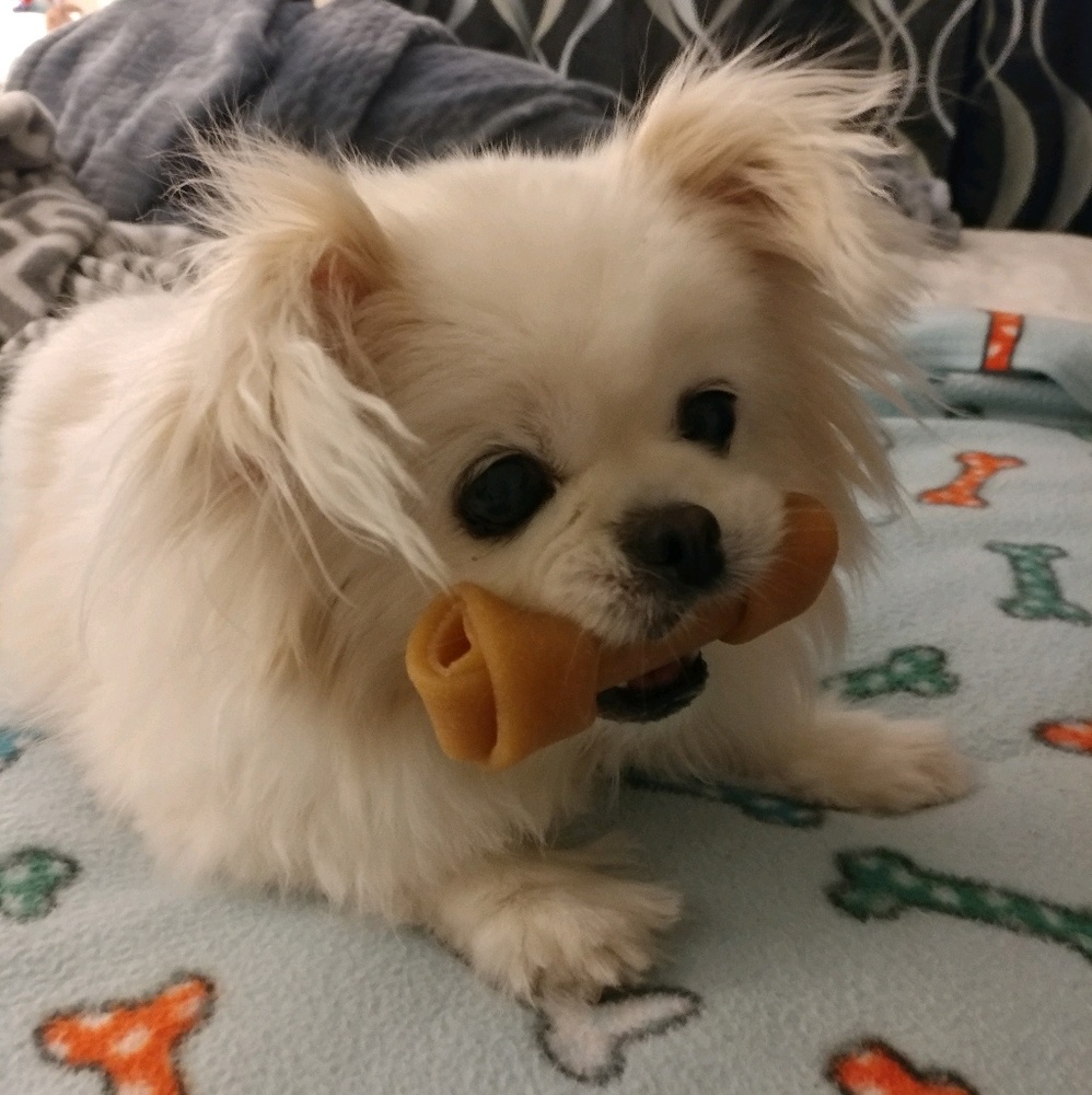 Meet your Posher, Angela